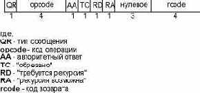 ���� ������ (flags) � ��������� DNS.