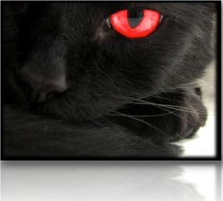 ���������� - ����� ����� �������