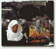 ����� ���� �������