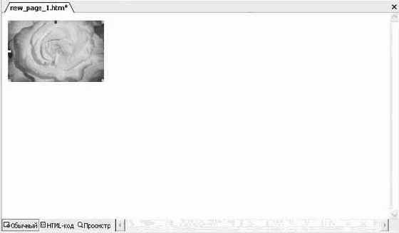 ��� ����� ������, ����� ����� 