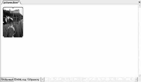 �������� � ����������� �����������