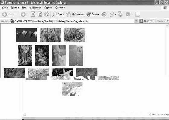 � ���-�����������