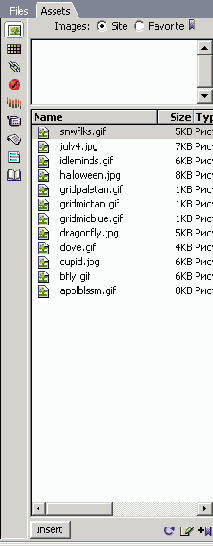 ������ Assets