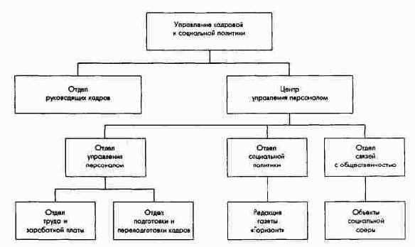 Структура кадровой и социальной политики