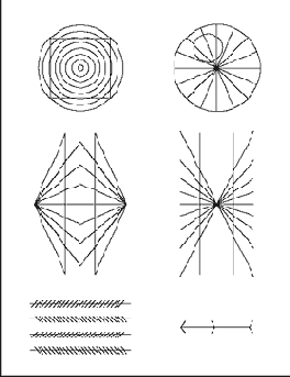 ������������ ������ ����������