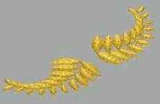 �������� ������ �������