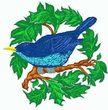 ������ � �������