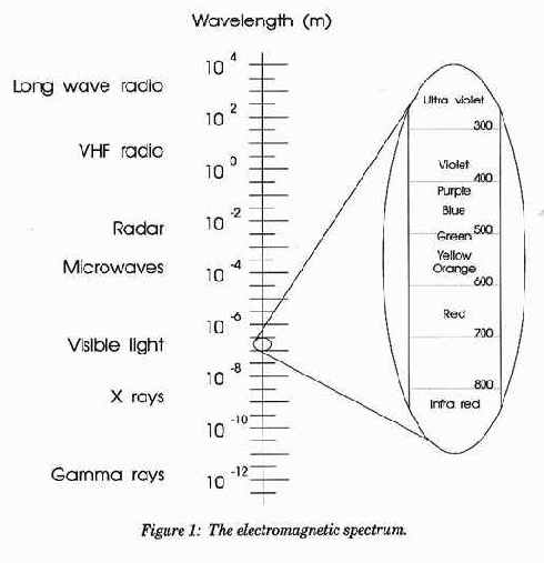 ���������������� ������