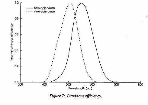 ������ ���������