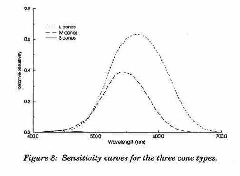 ������������� �����