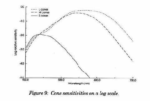 ������������� �����