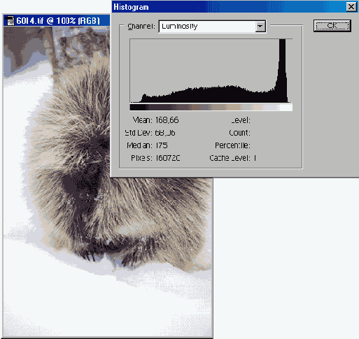 ��������� �������� �������������� �����������