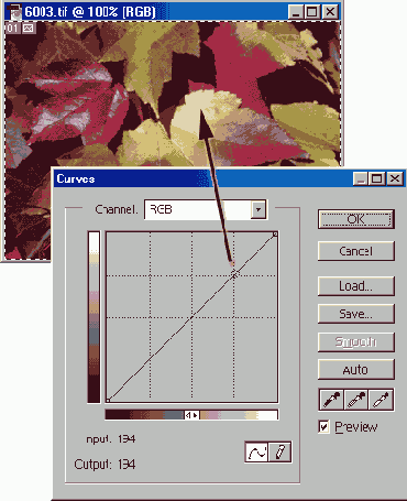 ������������ ������ ���������� ���������� ����������� ����� �������� � ��������� ����������� �������