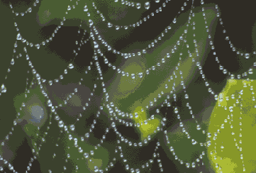 ���� ������� ����������� ���� Curves � ����� ������ ������������ ������