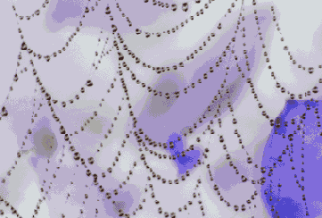 ���� ������� ����������� ���� Curves � ����� ������ ������������ ������