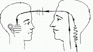 ��������: ������� �������