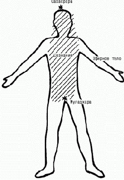 ��������: ������� �������