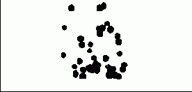 ������ ������ ���������� 5 ��������