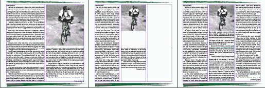 � ���������� ������� Layout Adjustment 