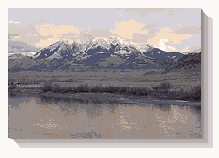 ������ shadow()