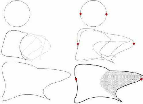 �������� �����