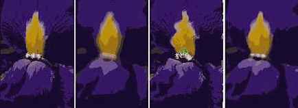 ���������� ��������