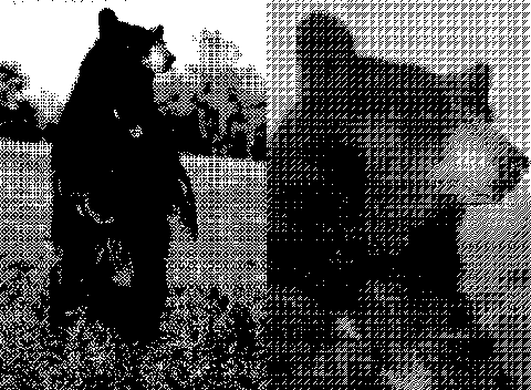 Изображения в режиме Bitmap