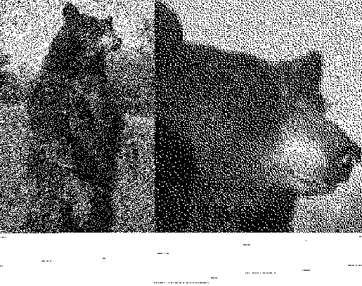 Изображения в режиме Bitmap