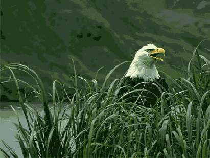 Разрешение