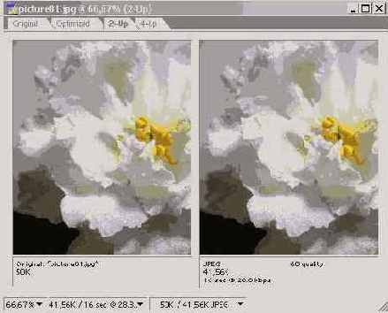 ���������� �����������