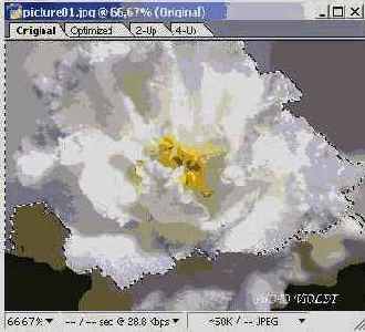 ���������� �����������