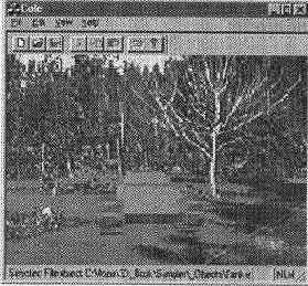 Цвет и текстуры