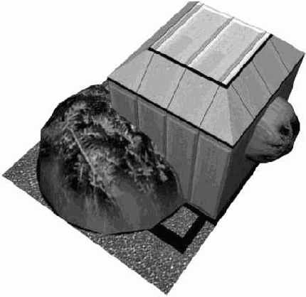 ������ ��������