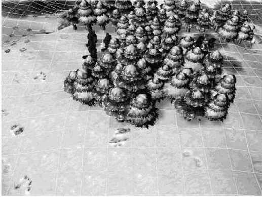 ����������� ���������� ������