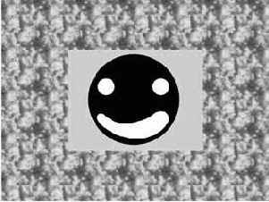 �����-�����