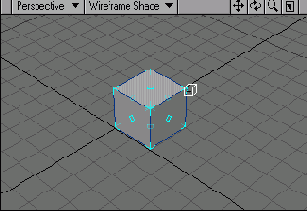 � ������ ���� �������� ��������������