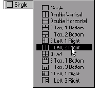 � ���� Display Options �����������