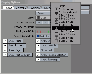 ���� Display Options ���������
