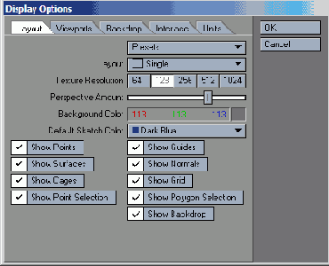 � ���� Display Options �����������