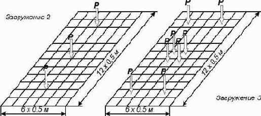 ������ ���� ������