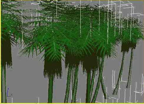 ���� ��������