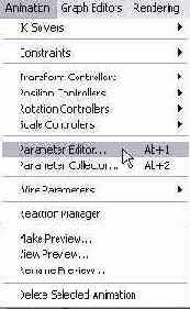 ���� Parameter Editor (�������� ����������)