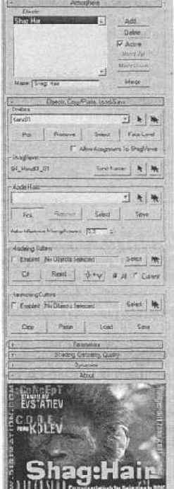 Shag: Hair