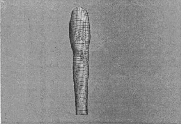 �������� ��������� ������� � �������������� Bones Pro