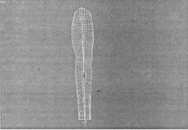 �������� ��������� ������� � �������������� Bones Pro