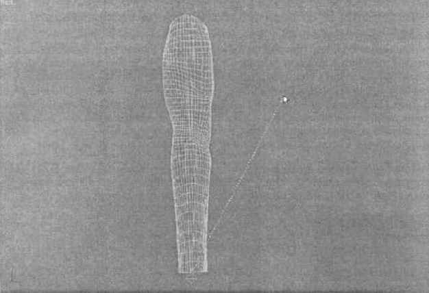 �������� ��������� ������� � �������������� Bones Pro