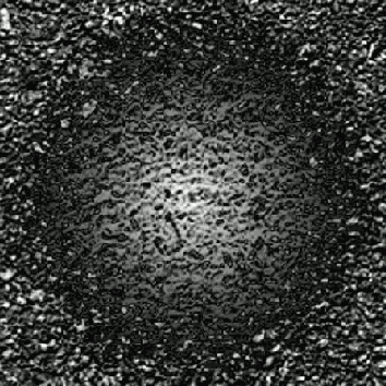 Fog (�����)