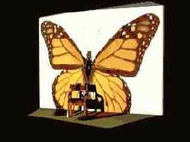 ��������� � ���� ���������