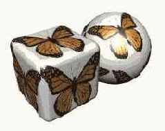 ���� ������������ ���������