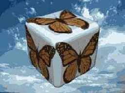 ��������� ���������� �������� ����